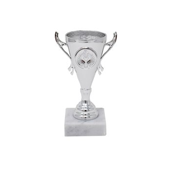Silver Cup Trophy With White Base 13cm