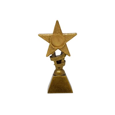 Medium Glitter Star Trophy (A399B)