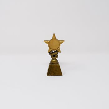 Small Glitter Star Trophy (A399AA)