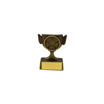 Mini Cup Style Award 6.5cm (A1336)