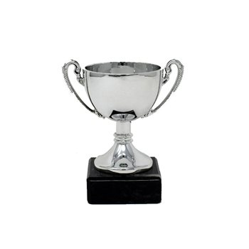 Silver Cup Trophy With Black Base 10cm