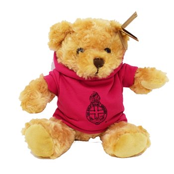 20cm Pink Hoodie Teddy Bear