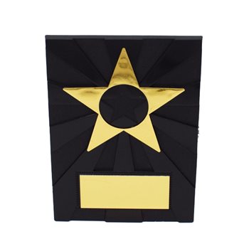 Apex Star Plaque 11.5cm (PP101CG)