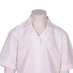 110021110033girlswhiteblouse2edited-1786612923.jpg