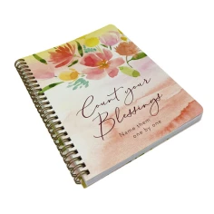 310605spiraljournalcountyourblessings3-1781185259.jpg