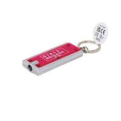 320110pinktorchkeyring-1771504592.jpg