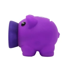 340101purplepiggybank4-1770223819.jpg