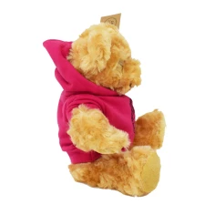34500720cmbrownhoodieteddybear2-1786535931.jpg