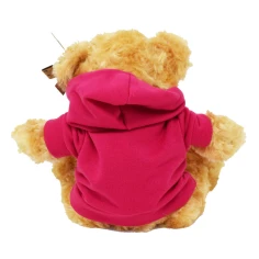 34500720cmbrownhoodieteddybear3-1786535942.jpg