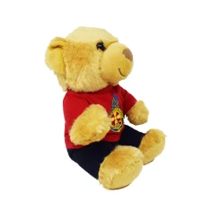 34500824cmteddybearwithgbcrest2-1770223748.jpg