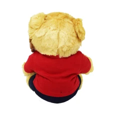 34500824cmteddybearwithgbcrest3.jpg