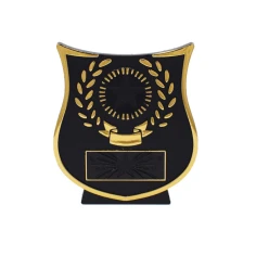 500518goldcurveplaque_pp108g_1-1784417054.jpg