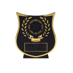 500518goldcurveplaque_pp108g_1-1788769135.jpg
