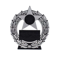 500520silvermegastarplaque1-1776685441.jpg
