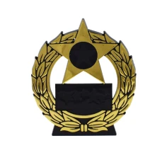 500521goldmegastarplaque1-1776253575.jpg