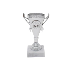 500544silvercuptrophy1-1777376893.jpg