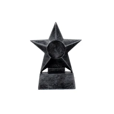 500568tarnishedsilverstartrophy1-1777722113.jpg