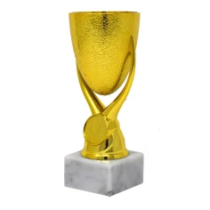 500570goldtexturedcup2-1776081023.jpg