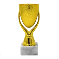 500570goldtexturedcup3-1776081028.jpg