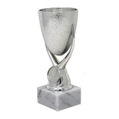 500571silvertexturedcup2-1776081130.jpg