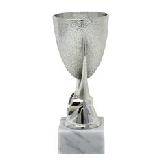 500571silvertexturedcup3-1776081135.jpg