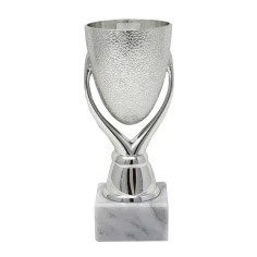 500571silvertexturedcup4-1776081140.jpg