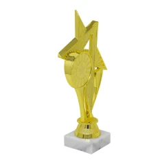 500578goldstartrophywithwhitebase2-1774871512.jpg