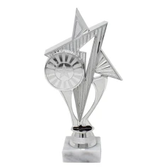 500579silverstartrophywithwhitebase1.jpg