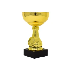 500588goldtrophycupblackbase2-1770384473.jpg