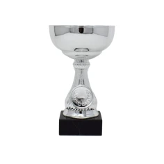 500589silvertrophycupblackbase1-1781518752.jpg