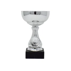 500589silvertrophycupblackbase1.jpg