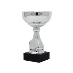 500589silvertrophycupblackbase2-1781518759.jpg