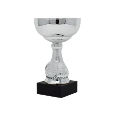 500589silvertrophycupblackbase2.jpg