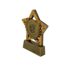 500593_gold_star_trophy_2-1781518963.jpg