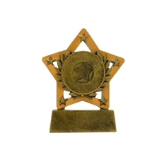 500596goldstartrophy1-1781518955.jpg