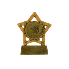 500596goldstartrophy1.jpg