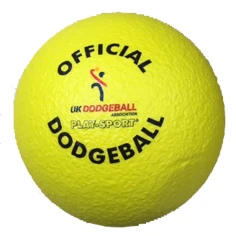 650121dodgeball-1780476274.jpg
