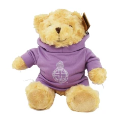 20cmpurplehoodieteddybear1.jpg