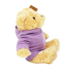 20cmpurplehoodieteddybear2.jpg