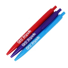 310107solidcolourpen1.jpg