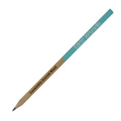 310190pastelhalfwoodpencilmint.jpg