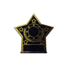 500513goldstarplaque1.jpg