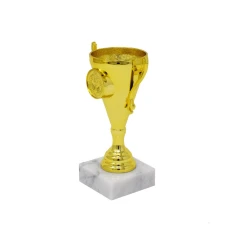 500543goldcuptrophy2.jpg