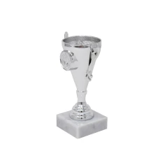 500544silvercuptrophy2.jpg