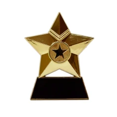 500554goldmetalstarplaque1.jpg