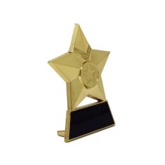 500554goldmetalstarplaque2.jpg