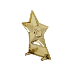 500554goldmetalstarplaque3.jpg