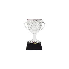 500558silverlioncup1.jpg