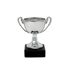 500569silvercuptrophy1.jpg