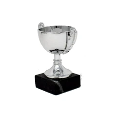 500569silvercuptrophy2.jpg